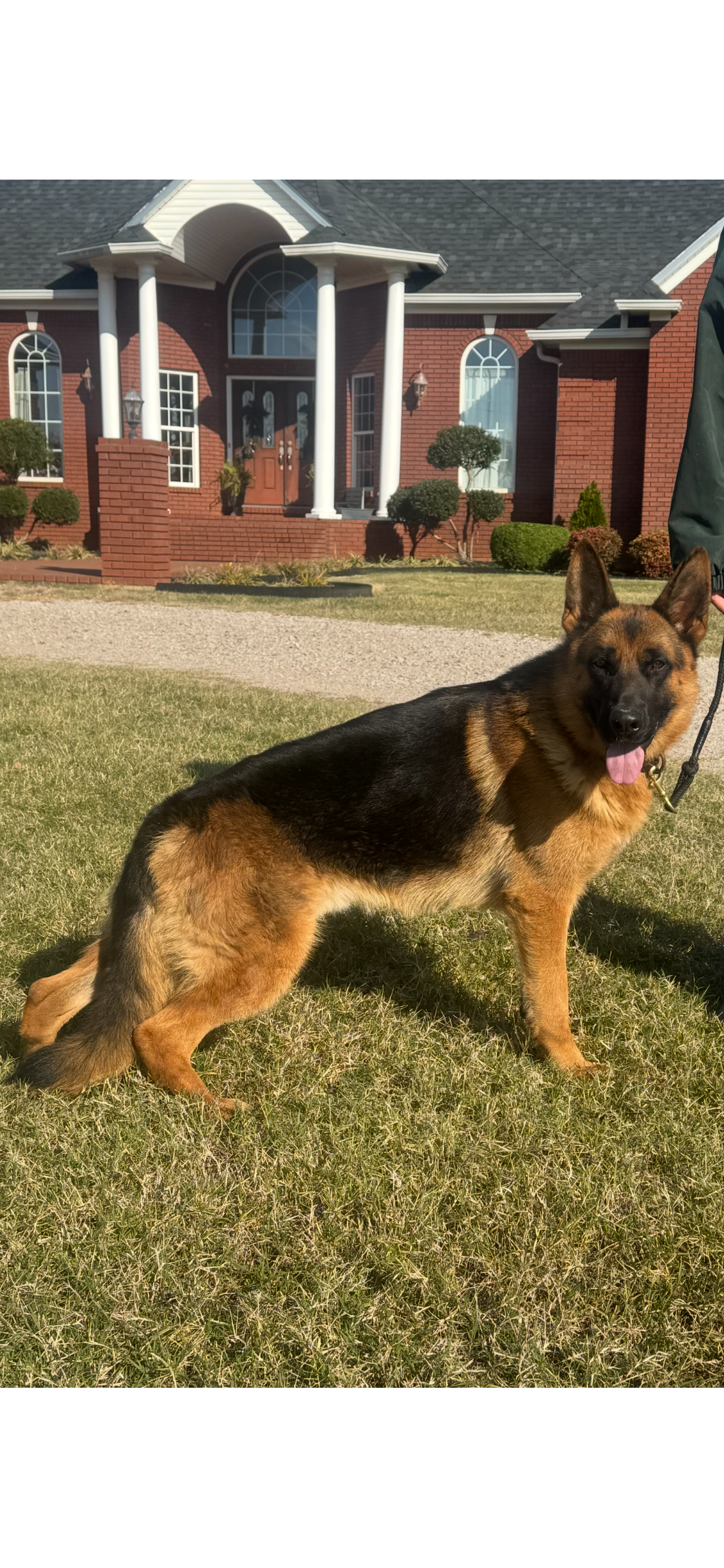 DIEKS SURRATT VOM KOLENDA