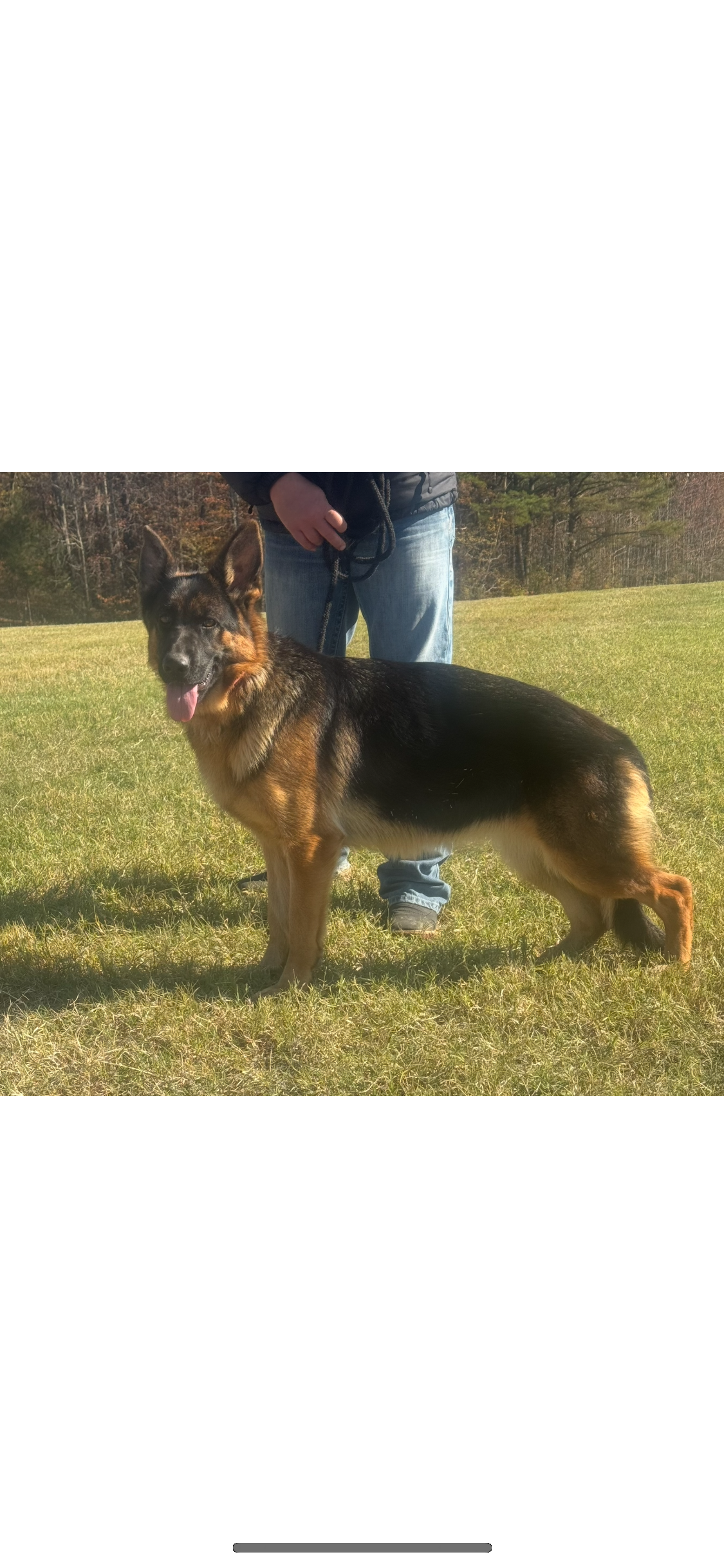 HEIDI SURRATT VOM KOLENDA 