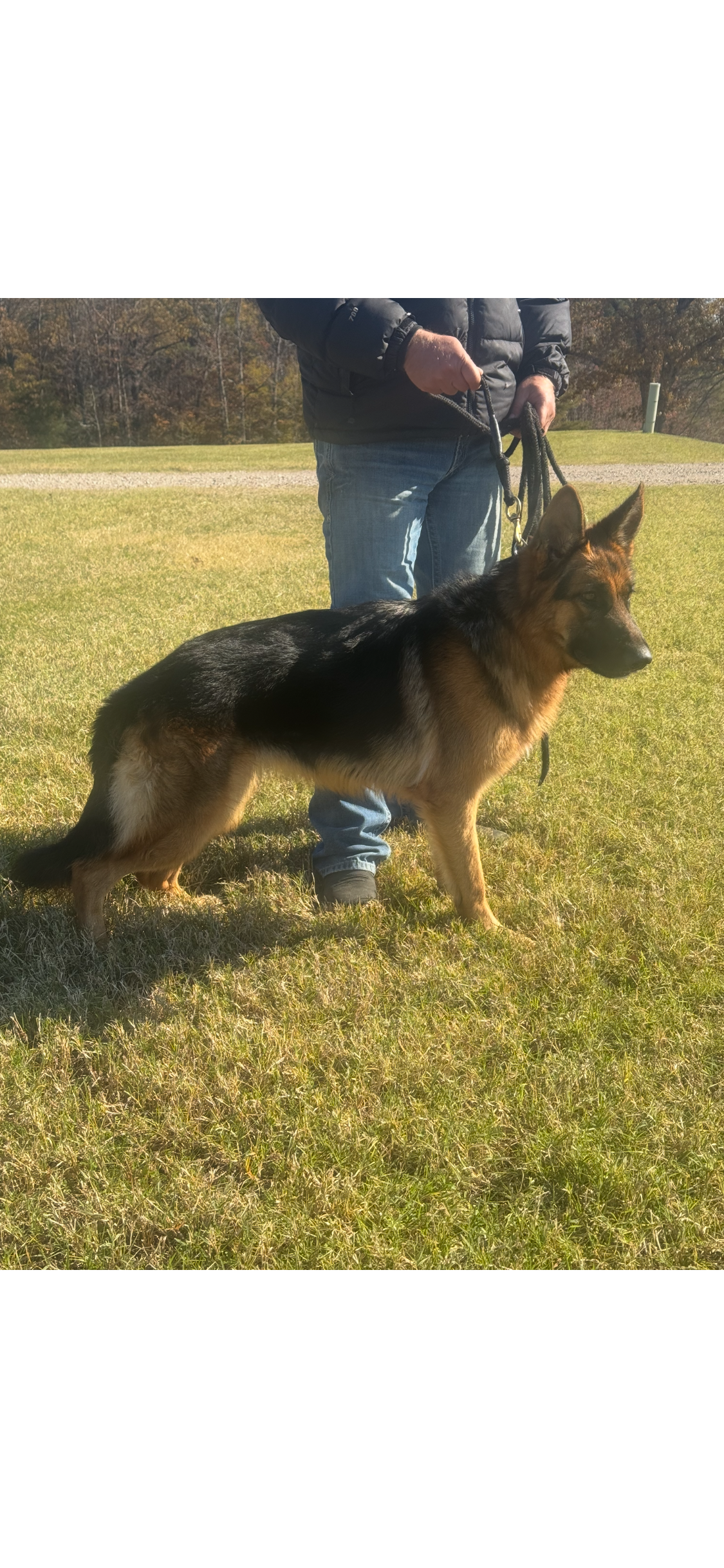 LANA VON BAIN SURRATT