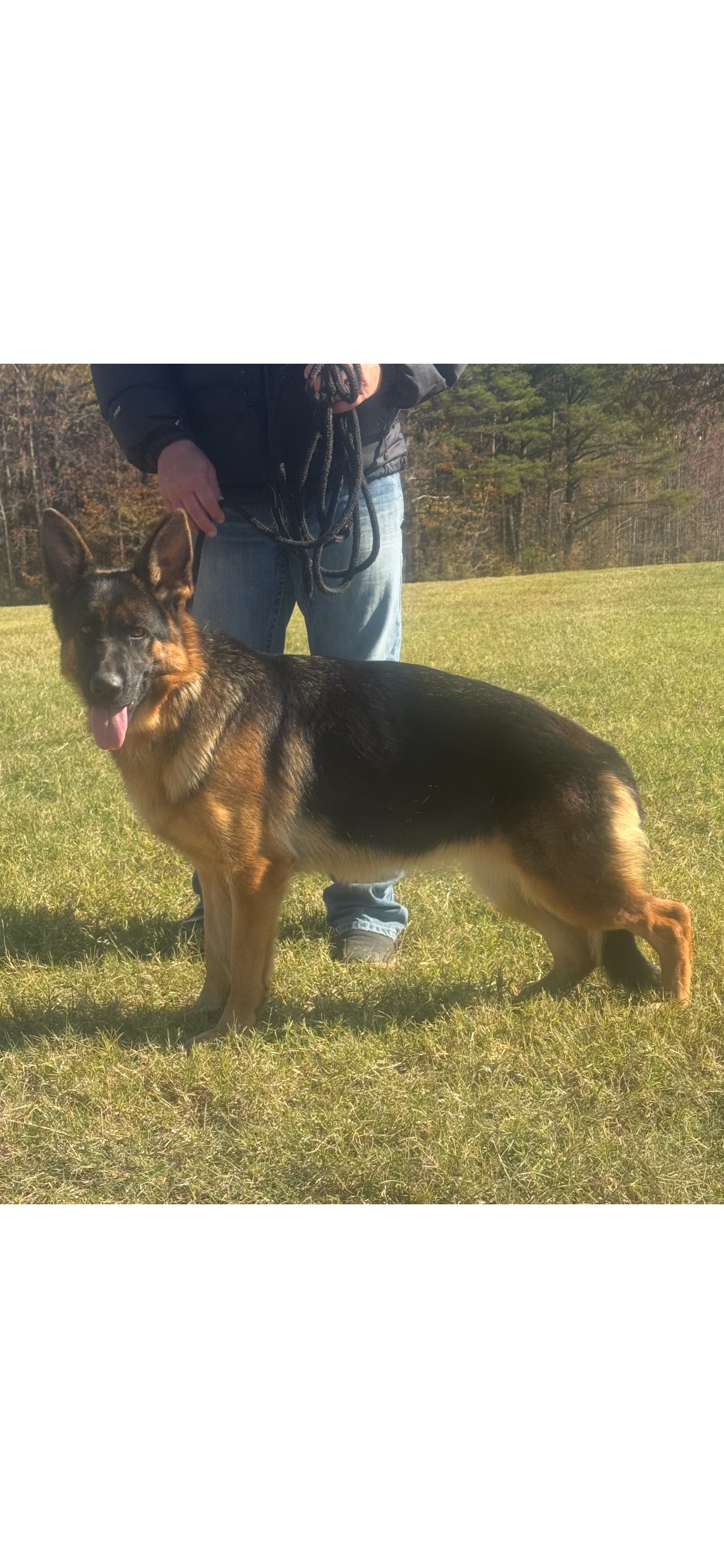 TESSA SURRATT VOM KOLENDA